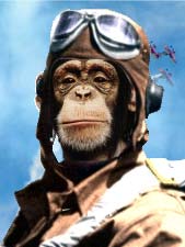 monkey_pilot.jpg